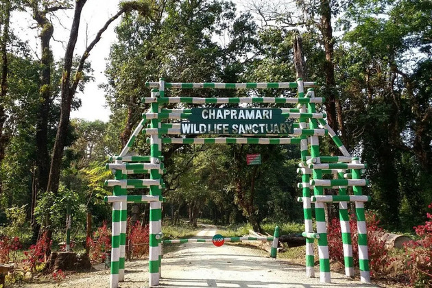 Chapramari Image